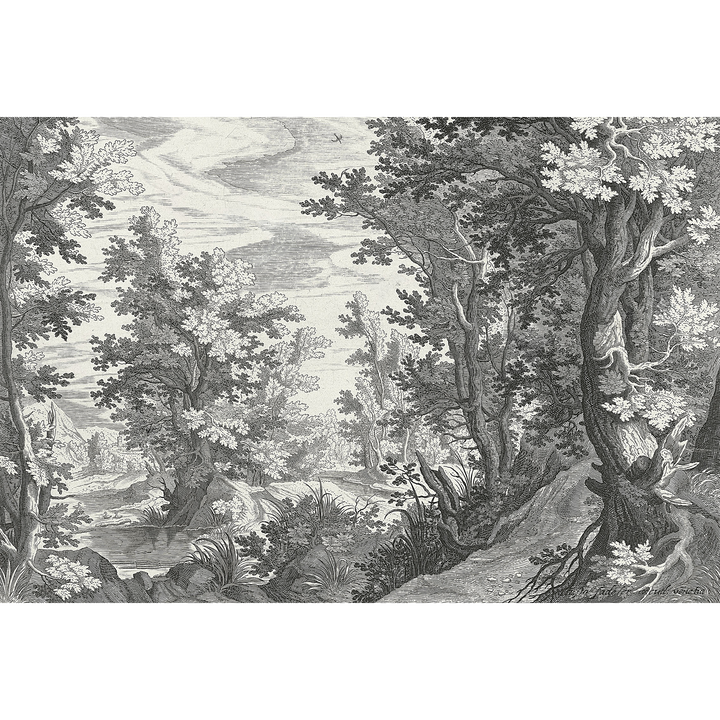 Papier peint panoramique XL Fancy forest Gris anthracite Brillant