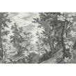 FANCY FOREST