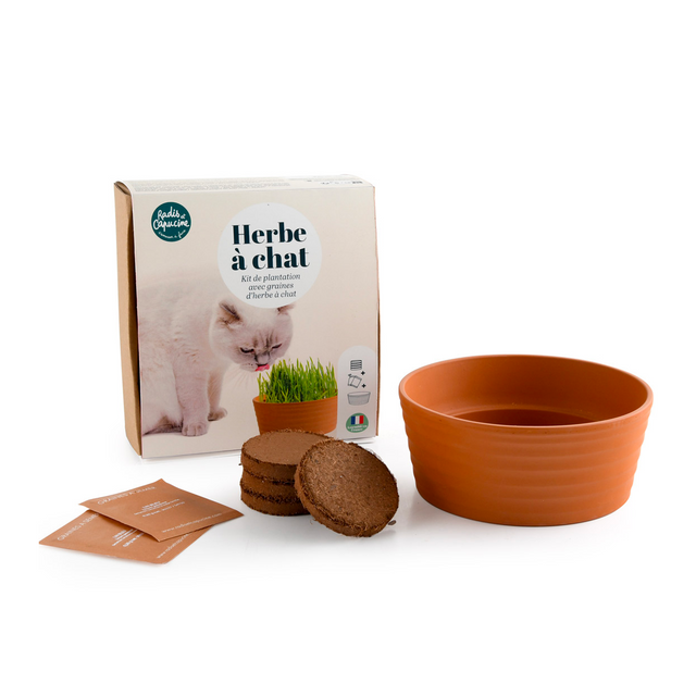 Radis et Capucine Kit HERBE À CHAT coloris beige