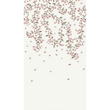 LADY BLOSSOM