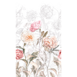 ARMANCE