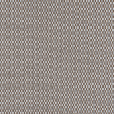 Tissu Pitor Beige