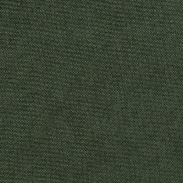 Tissu ARITA coloris vert foret