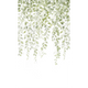 4MURS Papier peint panoramique L Allegra Vert feuille Satiné