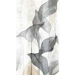 TRANSLUCENT GRACE