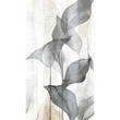 TRANSLUCENT GRACE