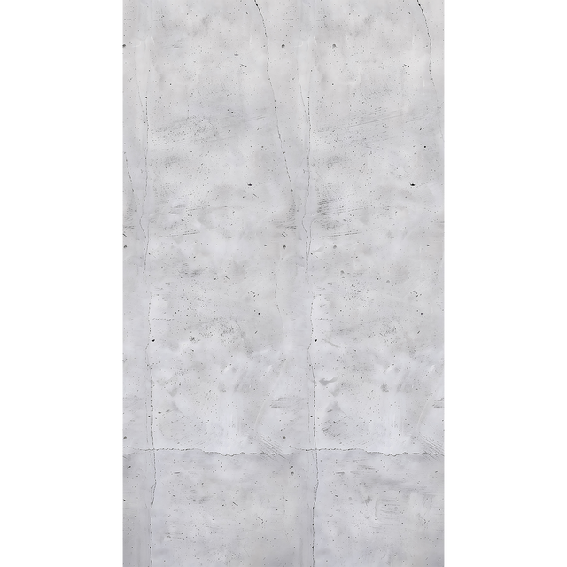 CosmoLiving Papier peint panoramique L CONCRETE 159 x 280 cm gris béton