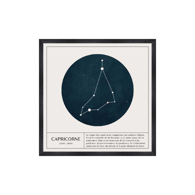 4MURS Tableau ASTRO CAPRICORNE coloris blanc