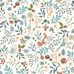 FOREST WONDERS