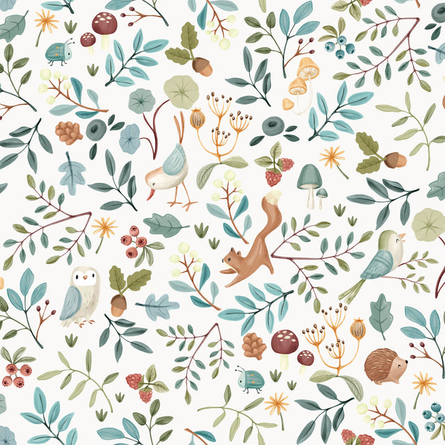 FOREST WONDERS