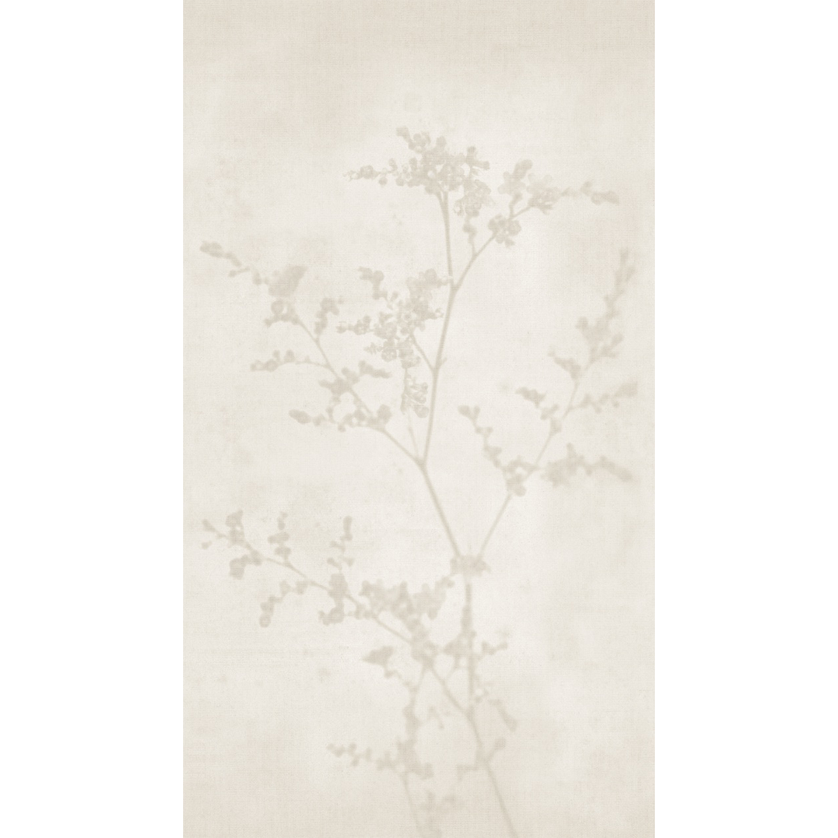 4MURS Papier peint panoramique L Olenna Sable beige Satiné