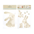 BABY BUNNY