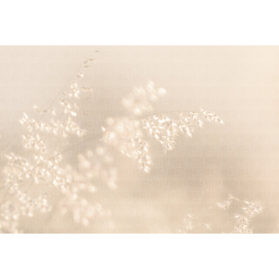 Papier peint panoramique XL Wisdom Nuances de lin Satiné