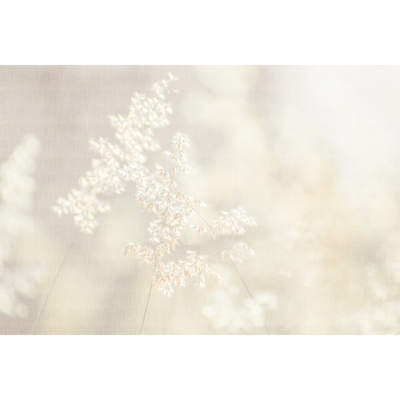 Papier peint panoramique XL Bliss Blanc et gris perle Satiné