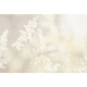 Papier peint panoramique XL Bliss Blanc et gris perle Satiné