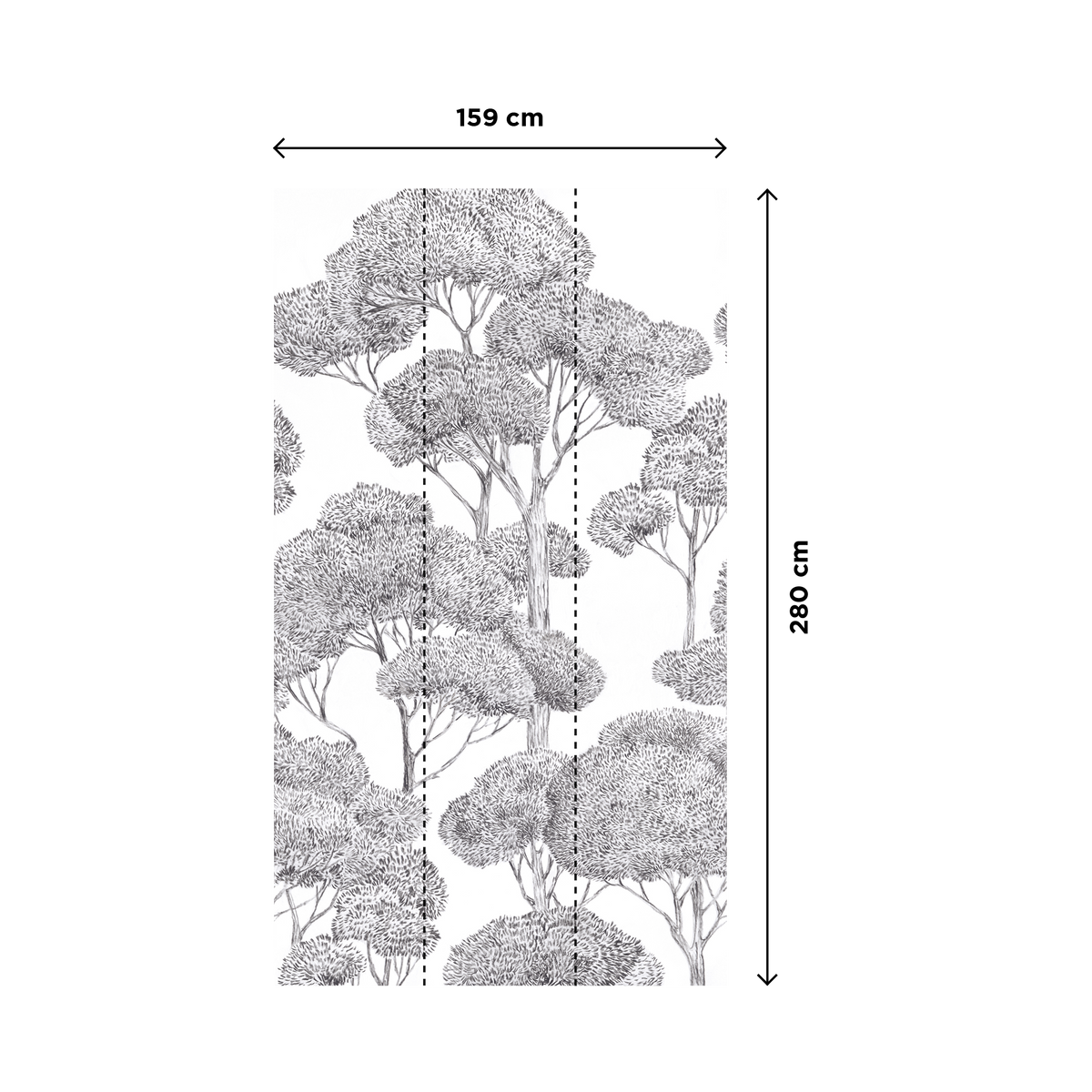 Papier peint panoramique L Cortina Noir et blanc Satiné