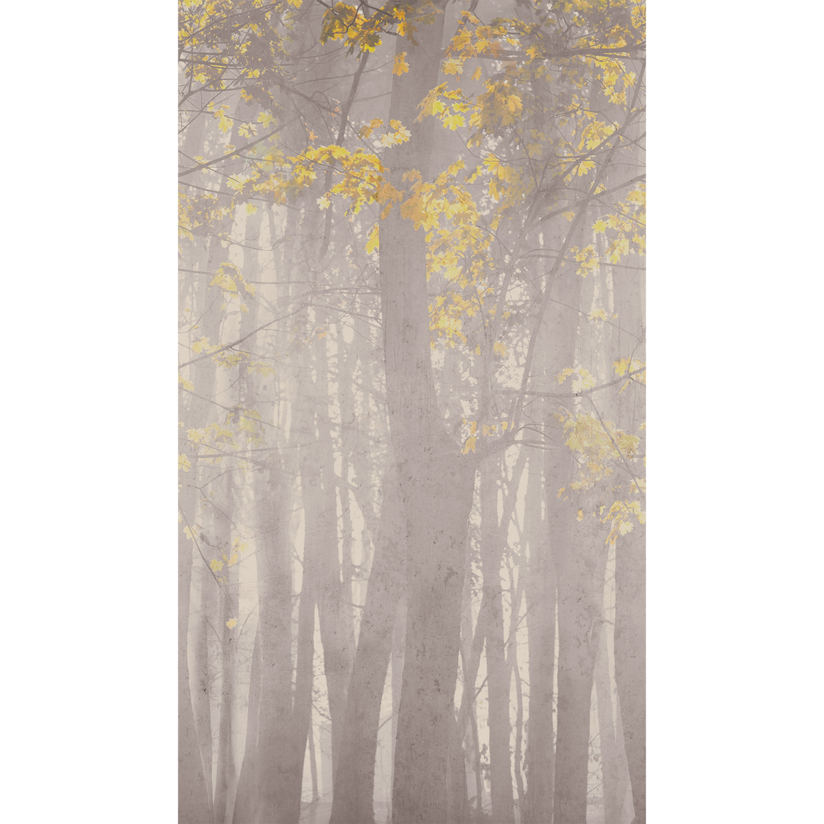 Papier peint panoramique L Hamra Gris clair et jaune paille Satiné