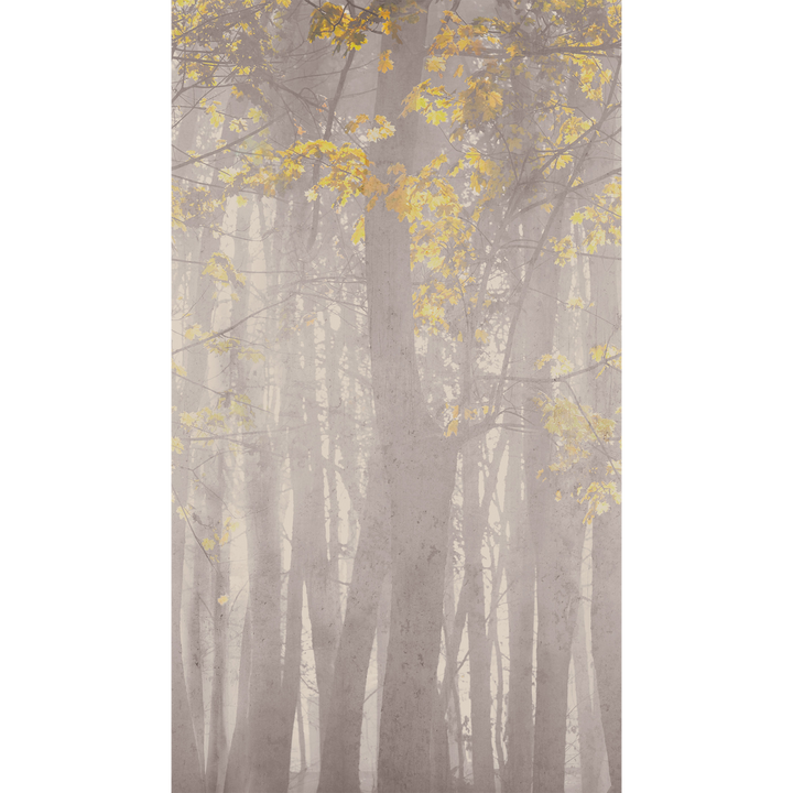 Papier peint panoramique L Hamra Gris clair et jaune paille Satiné