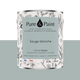 PURE AND PAINT Peinture Pure and paint Sauge blanche Mat