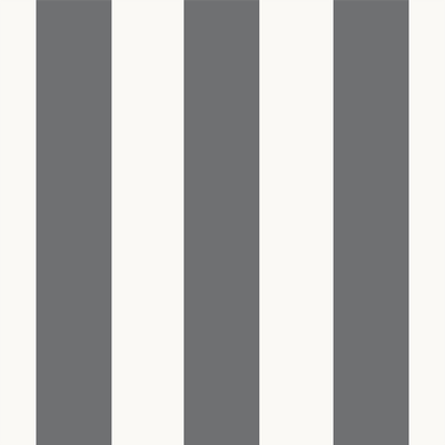 Papier peint intissé Victor Noir léger et blanc Mat