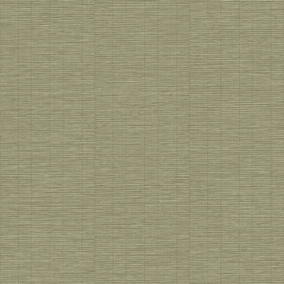 Papier peint intissé Rio Vert sauge Mat