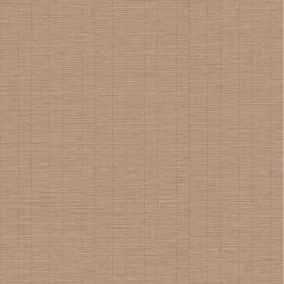 Papier peint intissé Rio Terracotta clair Mat