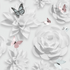 LOLLY FLOWER