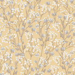 Manoa