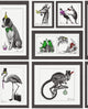HOLDEN DECOR Papier peint Mad dogs Noir et blanc Mat