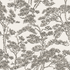 Yakushima