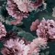 Papier peint Midnight bloom Rose poudré, prune, vert profond Mat