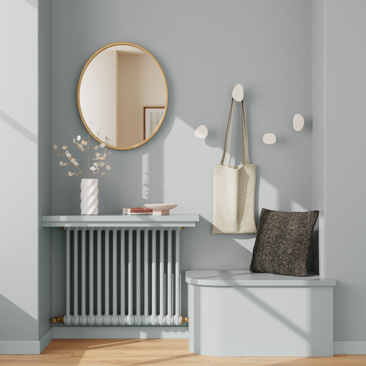 SAPHYR Peinture Saphyr Gris manet Brillant 0,5L