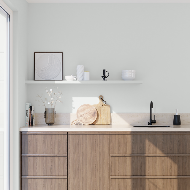 Absolu Peinture Multi-supports Peinture fusain 2,5 L