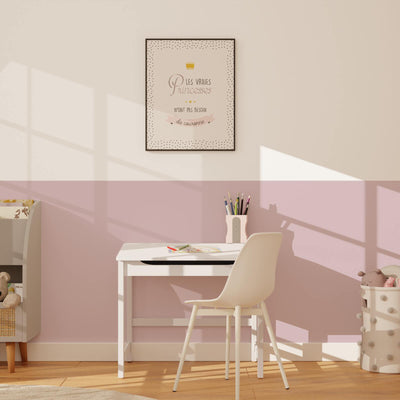 ABSOLU Peinture Absolu Rose poudré Mat 2,5L