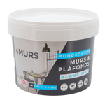 MURS ET PLAFONDS MONOCOUCHE