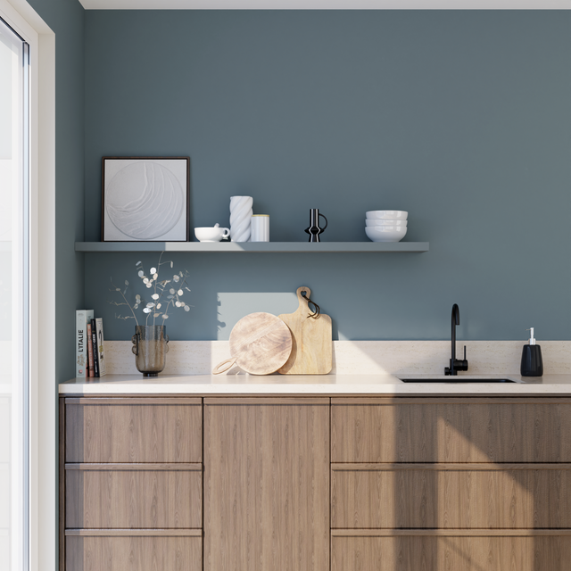 Absolu Peinture Finition Peinture grey Mat 0,5 L