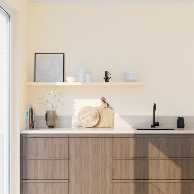 Absolu Peinture Finition Peinture naturel Mat 0,5 L