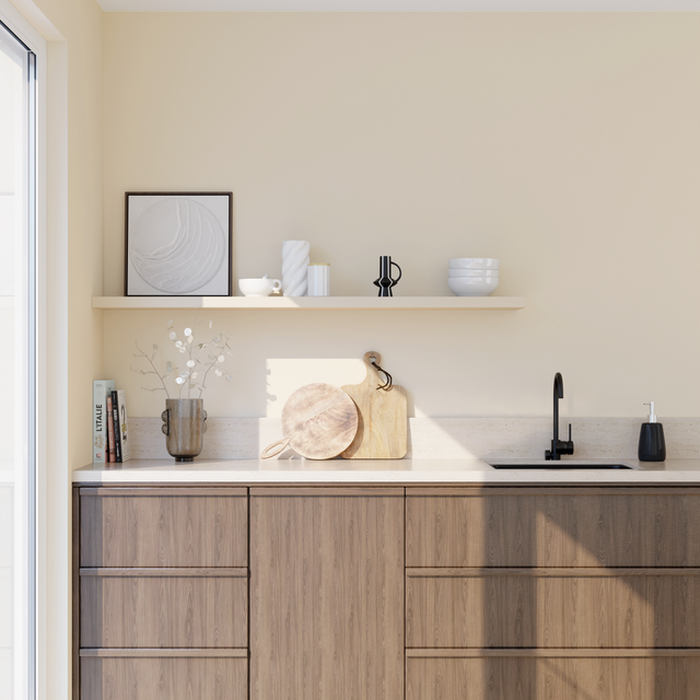 Absolu Peinture Finition Peinture grège Mat 0,5 L