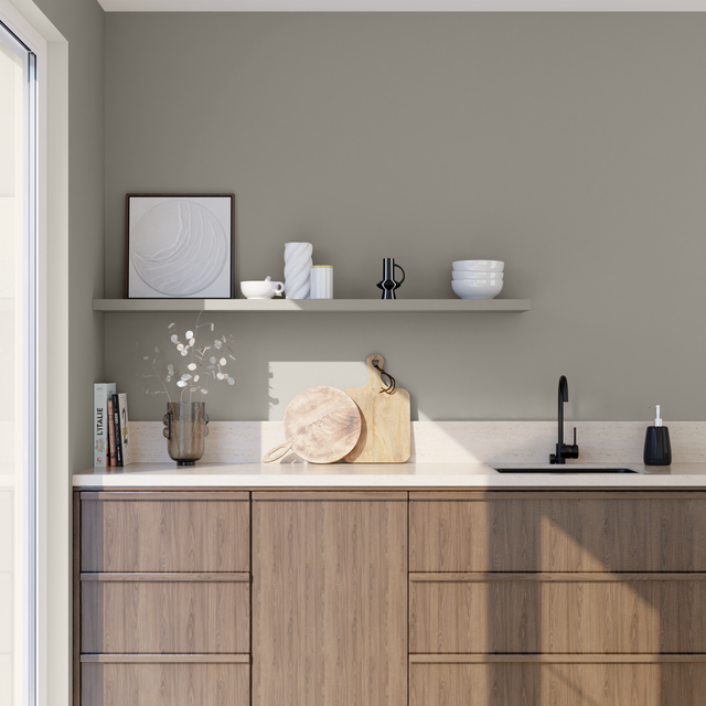 Absolu Peinture Finition Peinture poivre Mat 0,5 L