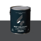ABSOLU Peinture Absolu Fonte Mat 2,5L