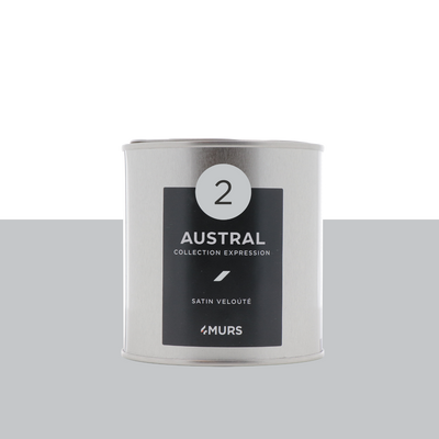 EXPRESSION Peinture Expression Austral Satiné 0,5L