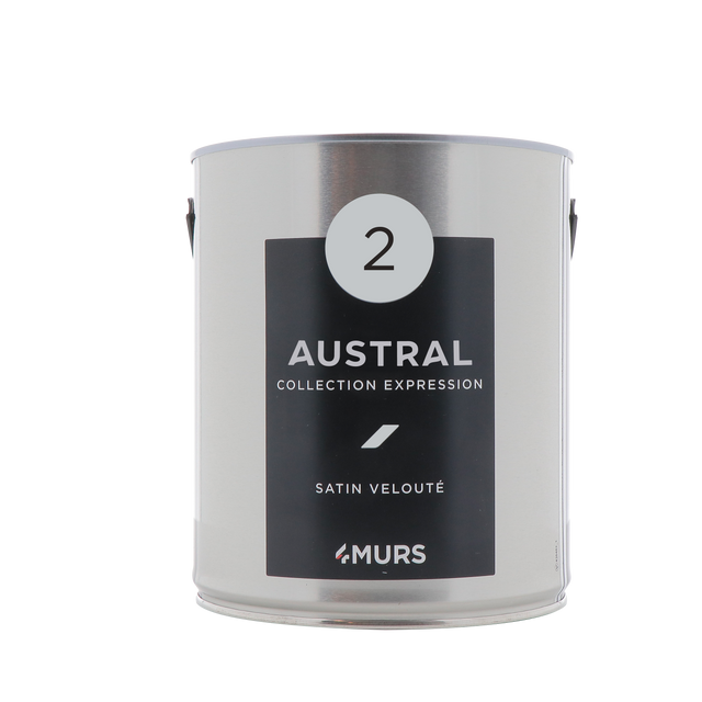 Expression Peinture Multi-supports Peinture austral Satiné