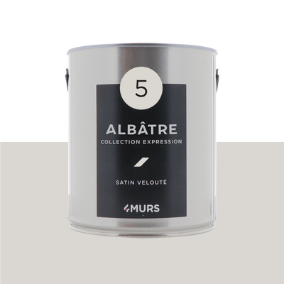 EXPRESSION Peinture Expression Blanc albâtre Satiné 2,5L