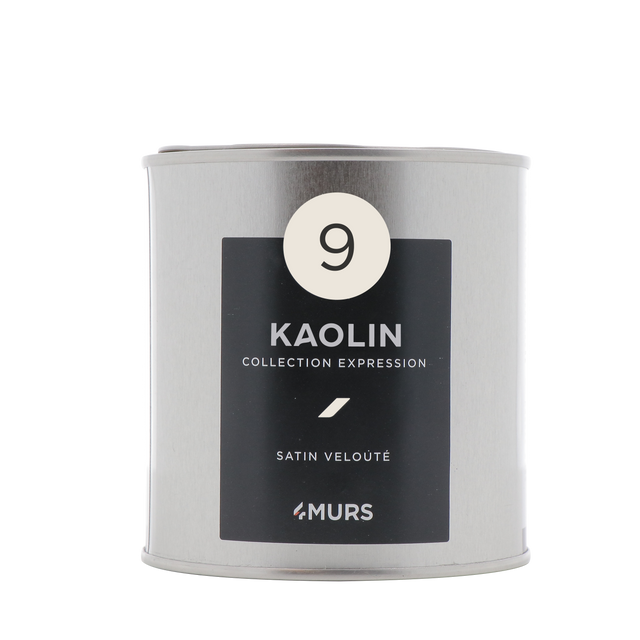 Expression Peinture Finition Peinture blanc kaolin Satiné 0,5 L