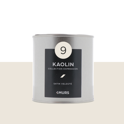 EXPRESSION Peinture Expression Blanc kaolin Satiné 0,5L