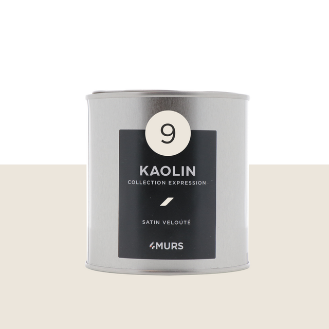 Expression Peinture Finition Peinture blanc kaolin Satiné 0,5 L