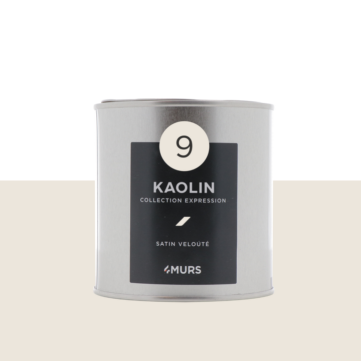 EXPRESSION Peinture Expression Blanc kaolin Satiné 0,5L