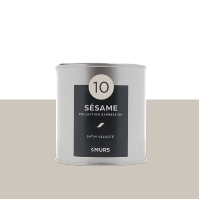 EXPRESSION Peinture Expression Sésame Satiné 0,5L