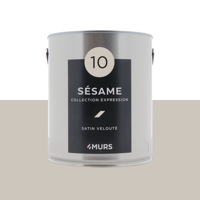 EXPRESSION Peinture Expression Sésame Satiné 2,5L