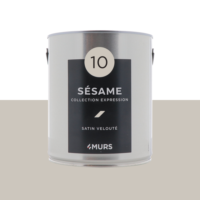 Expression Peinture Multi-supports Peinture sésame Satiné